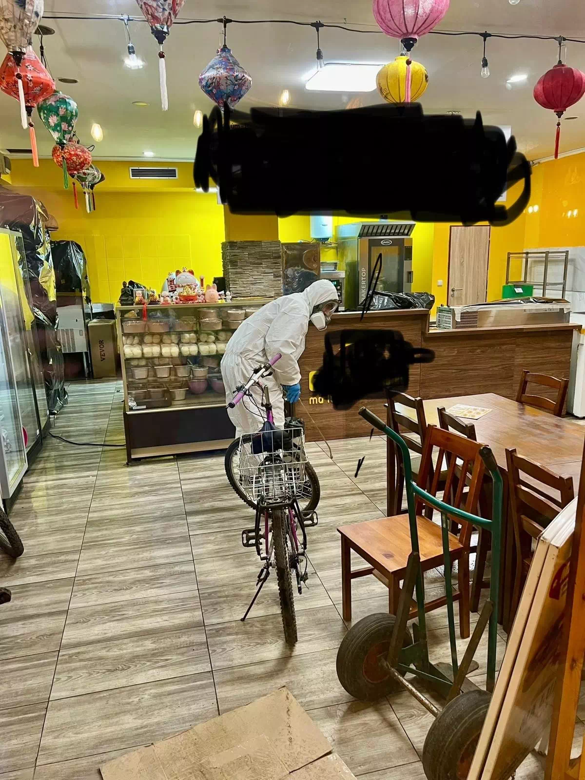 Likvidace švábů
