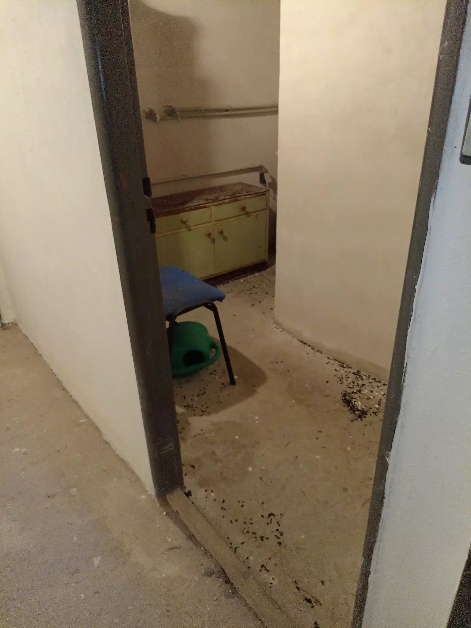 Likvidace hrabošů, deratizace